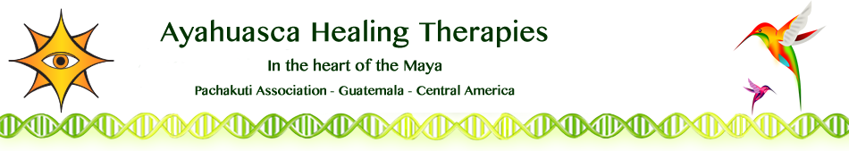 Ayahuasca Healing Ceremonies and Retreats